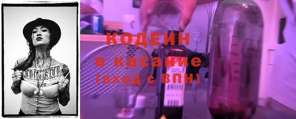 сатива Карталы