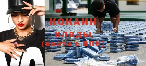 сатива Карталы