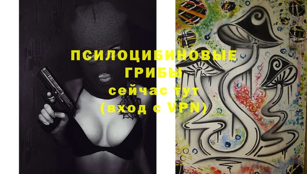 наркотики Карпинск