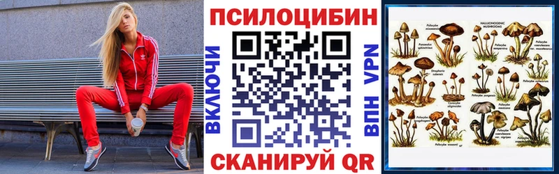 Купить  Козьмодемьянск  Псилоцибиновые грибы прущие грибы 